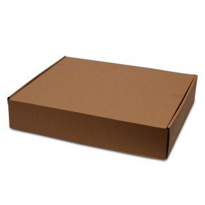 Lot de 50 cartons de transport