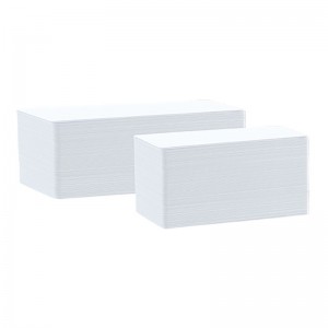 Lot de 100 cartes longues à imprimer PVC blanches - 120 x 50 mm